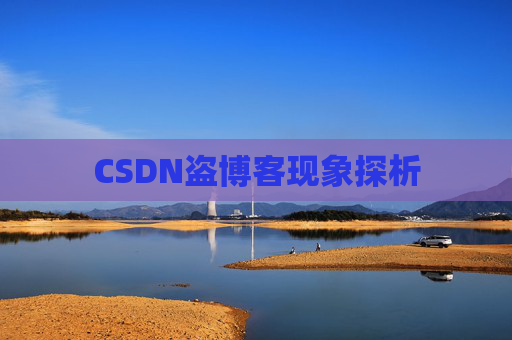 CSDN盗博客现象探析